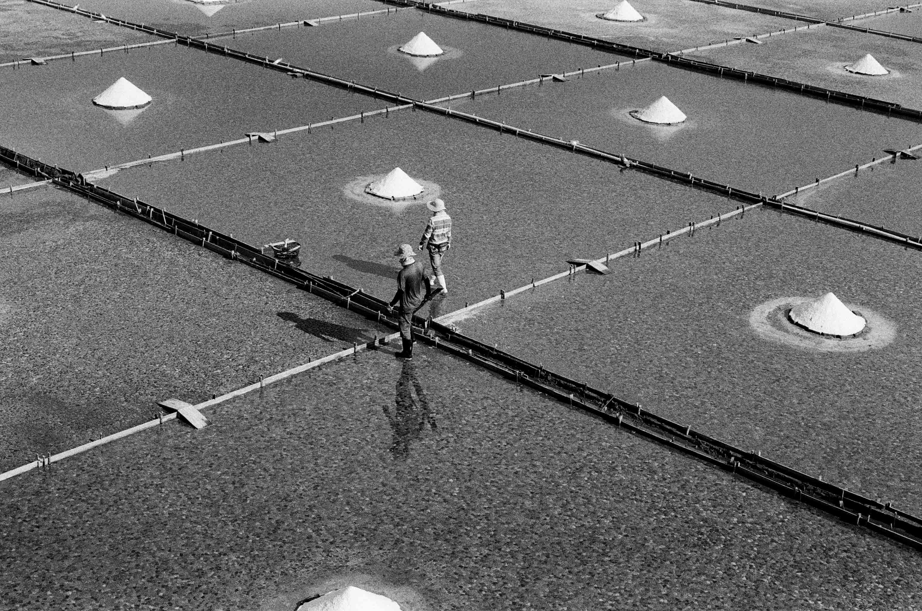 Ilford HP5