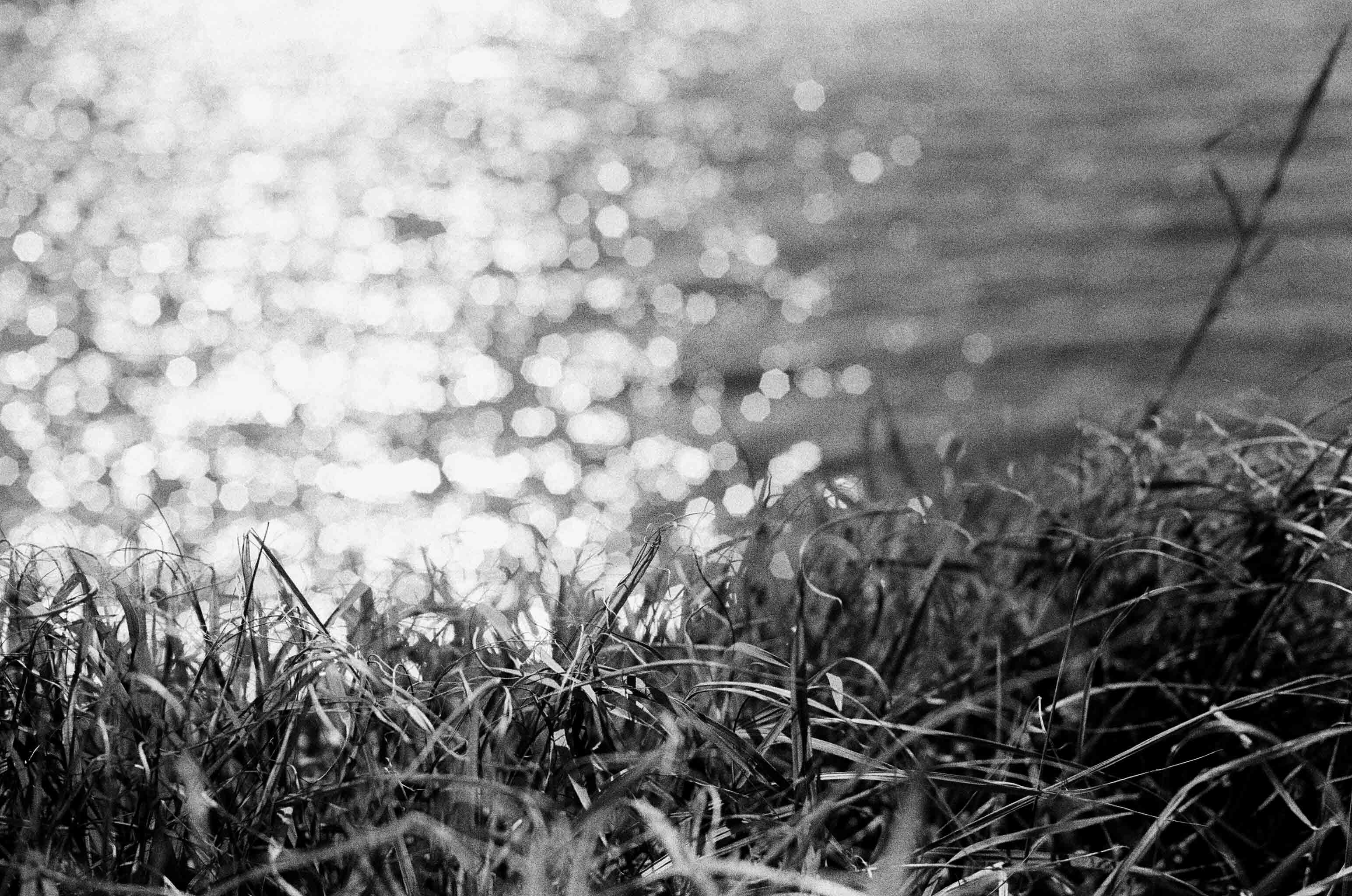 Ilford HP5