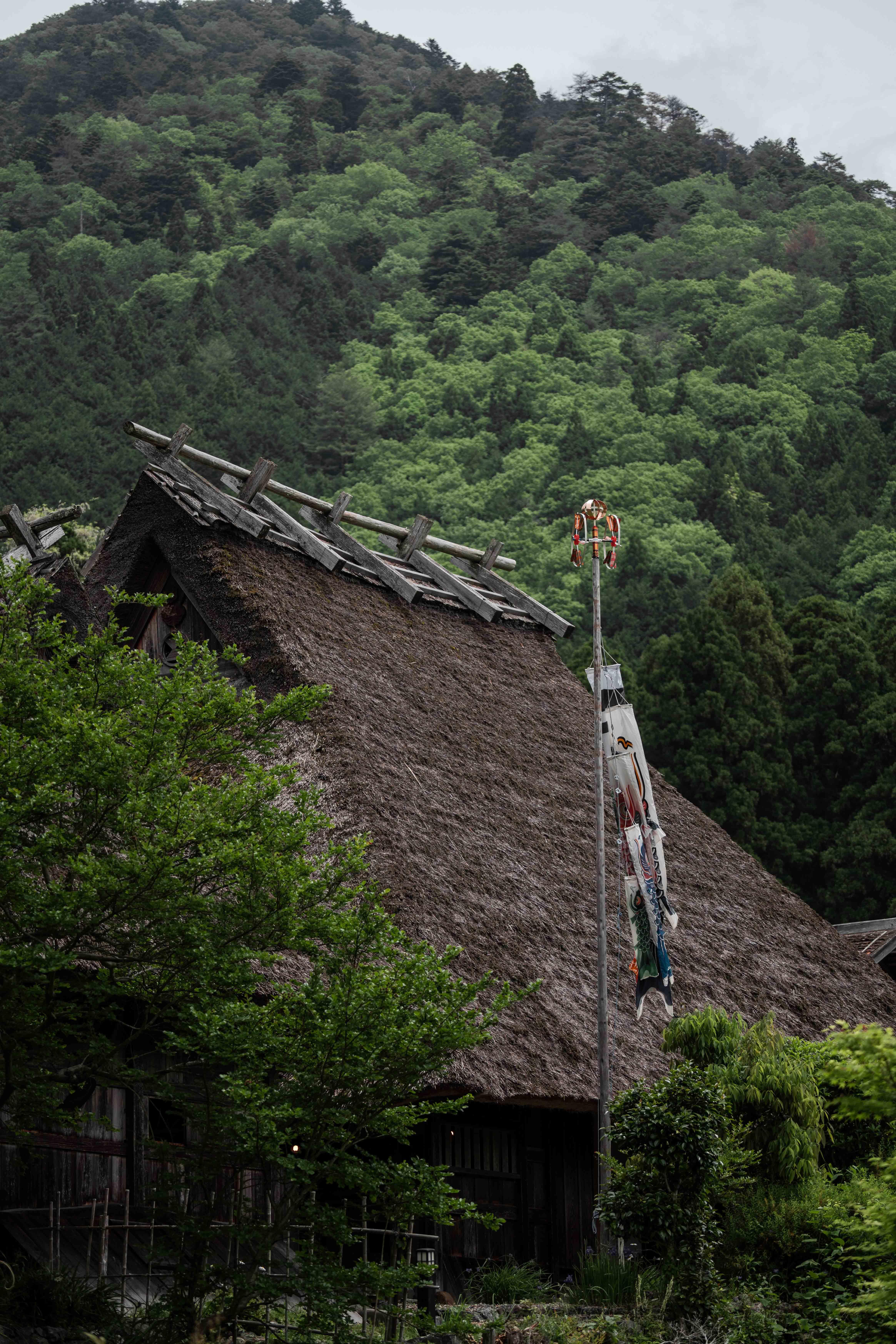 風土 直圖6