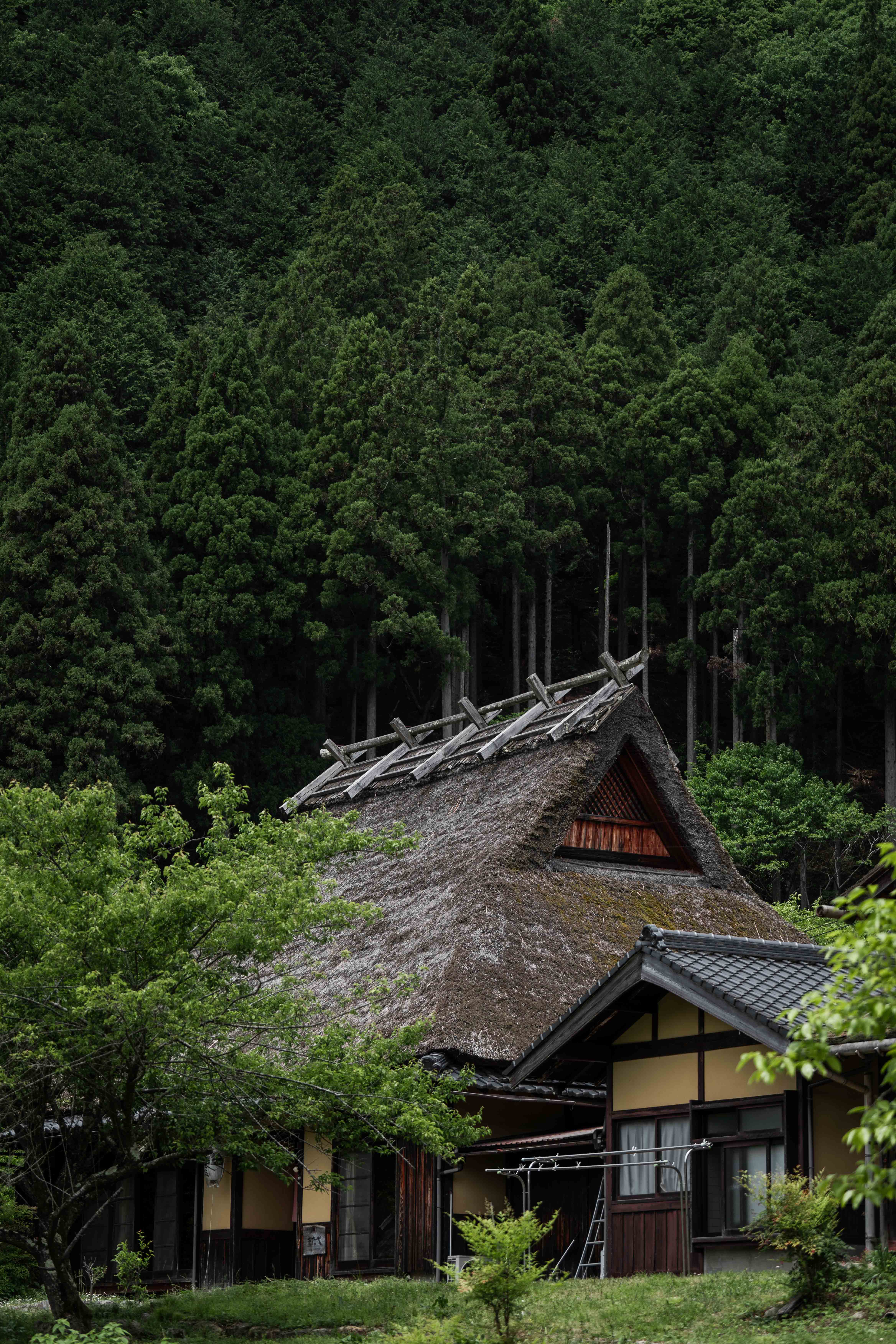 風土 直圖3